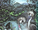 Mufaro's Beautiful Daughters: An African Tale by John Steptoe (1987) 13th hardcover printing