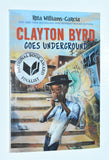 Lot of 25 books- YA Paperbacks for African-American Teen GIRLS & BOYS