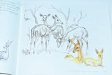 [MALAWI] Between the Cape and Cairo by Tony Grogan  (1995) limited 2000 copies