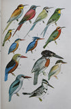 A Field Guide to the BIRDS OF EAST AND CENTRAL AFRICA (1973) Hardcover
