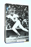 Winfield: A Player's Life (1998) by Dave Winfield and Tom Parker [Baseball]